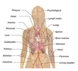 obesity-and-kidney-stones